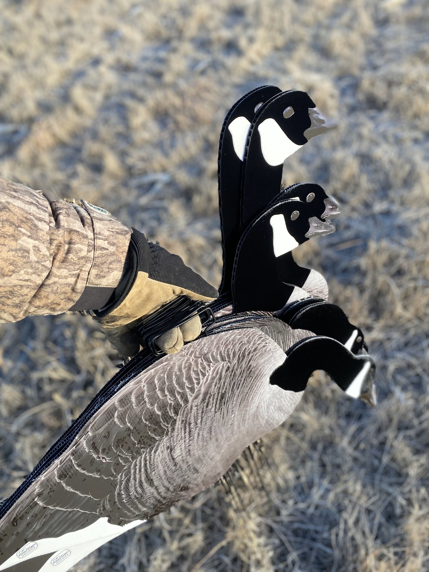 FH2 Flocked Head Honker Silhouettes