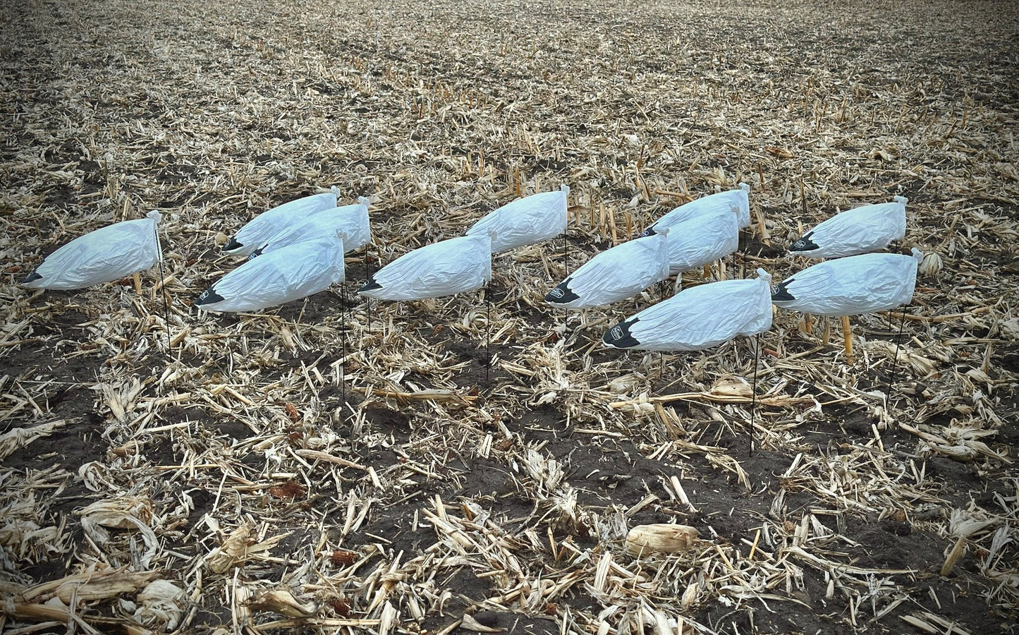 No Head Snow Goose Windsock Decoys