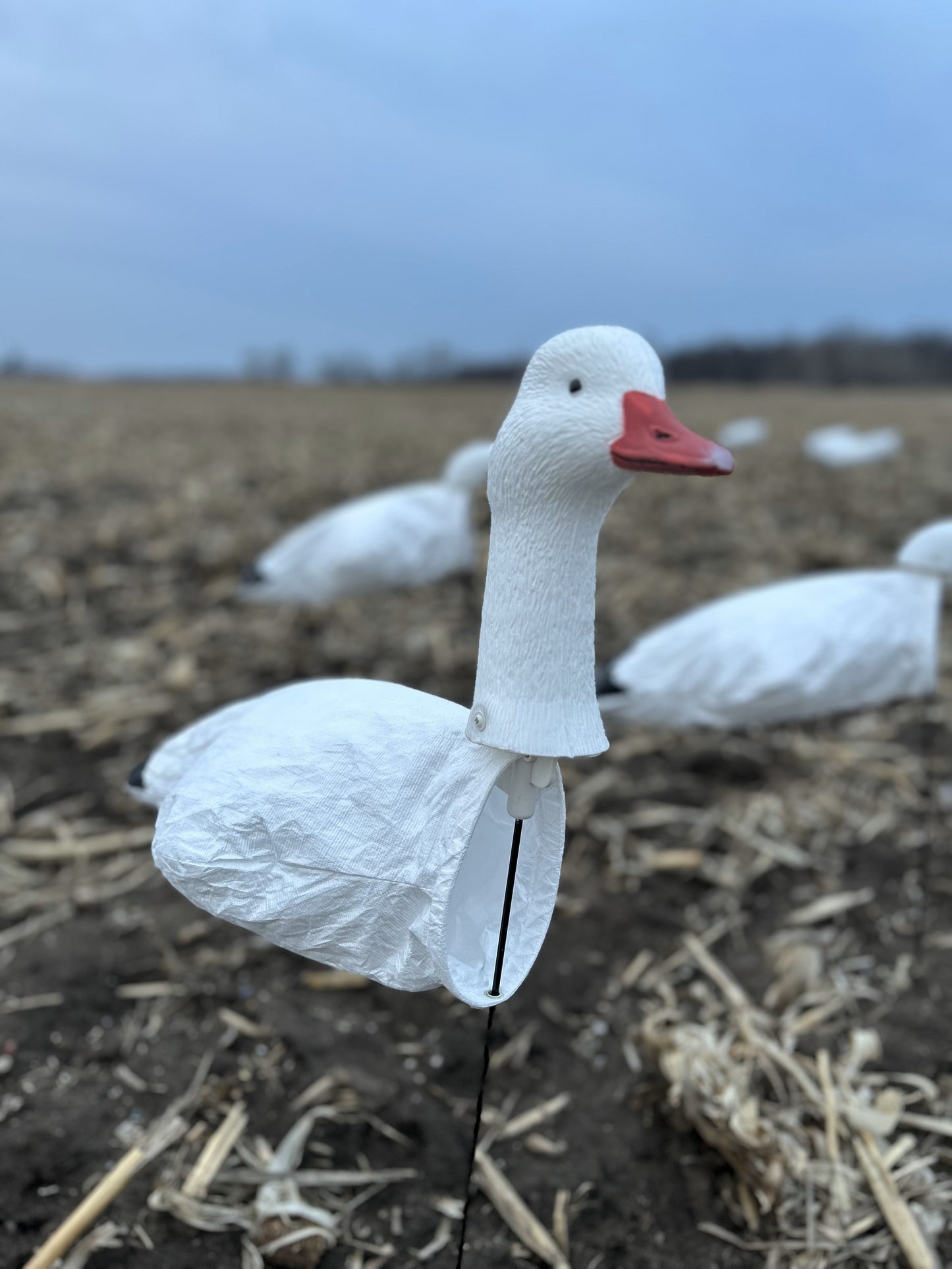 3D Head Snow Goose Windsock Decoys