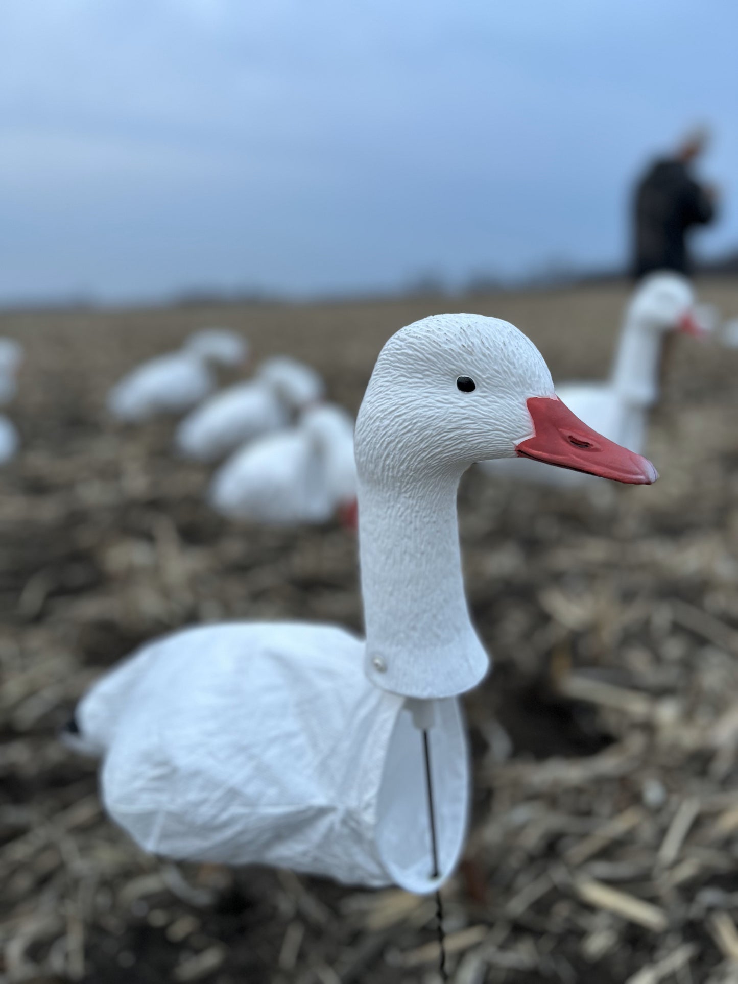 3D Head Snow Goose Windsock Decoys