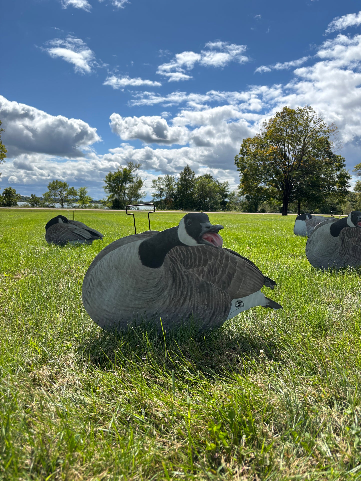 M1 Canada Goose Silhouette Decoys