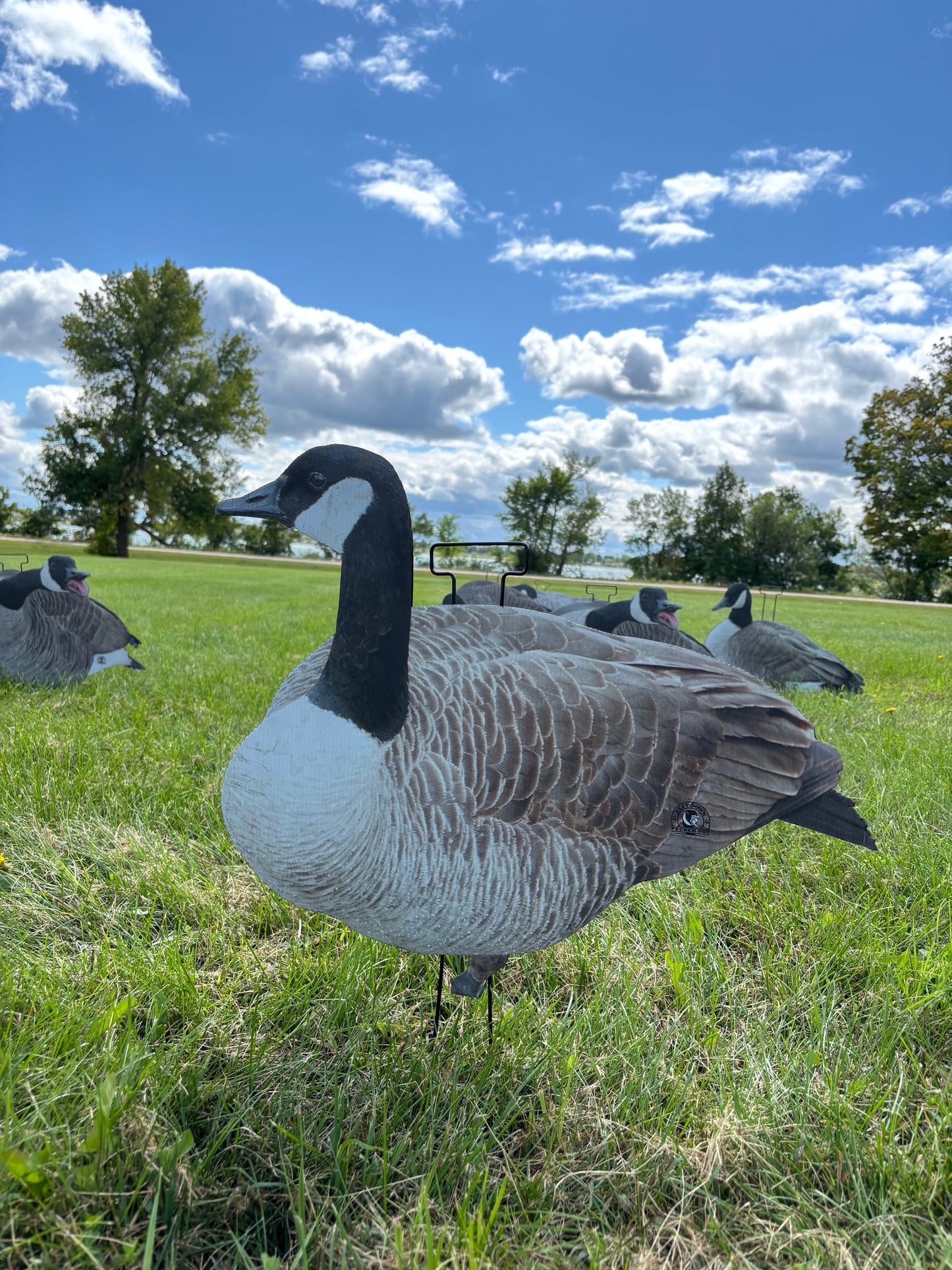 M1 Canada Goose Silhouette Decoys