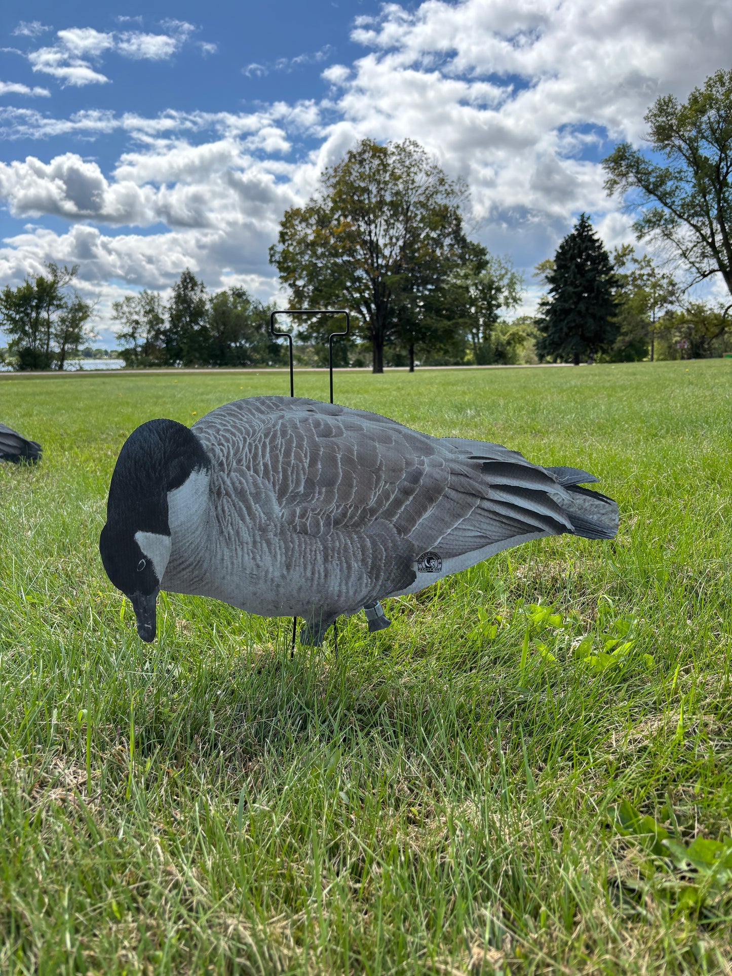 M1 Canada Goose Silhouette Decoys
