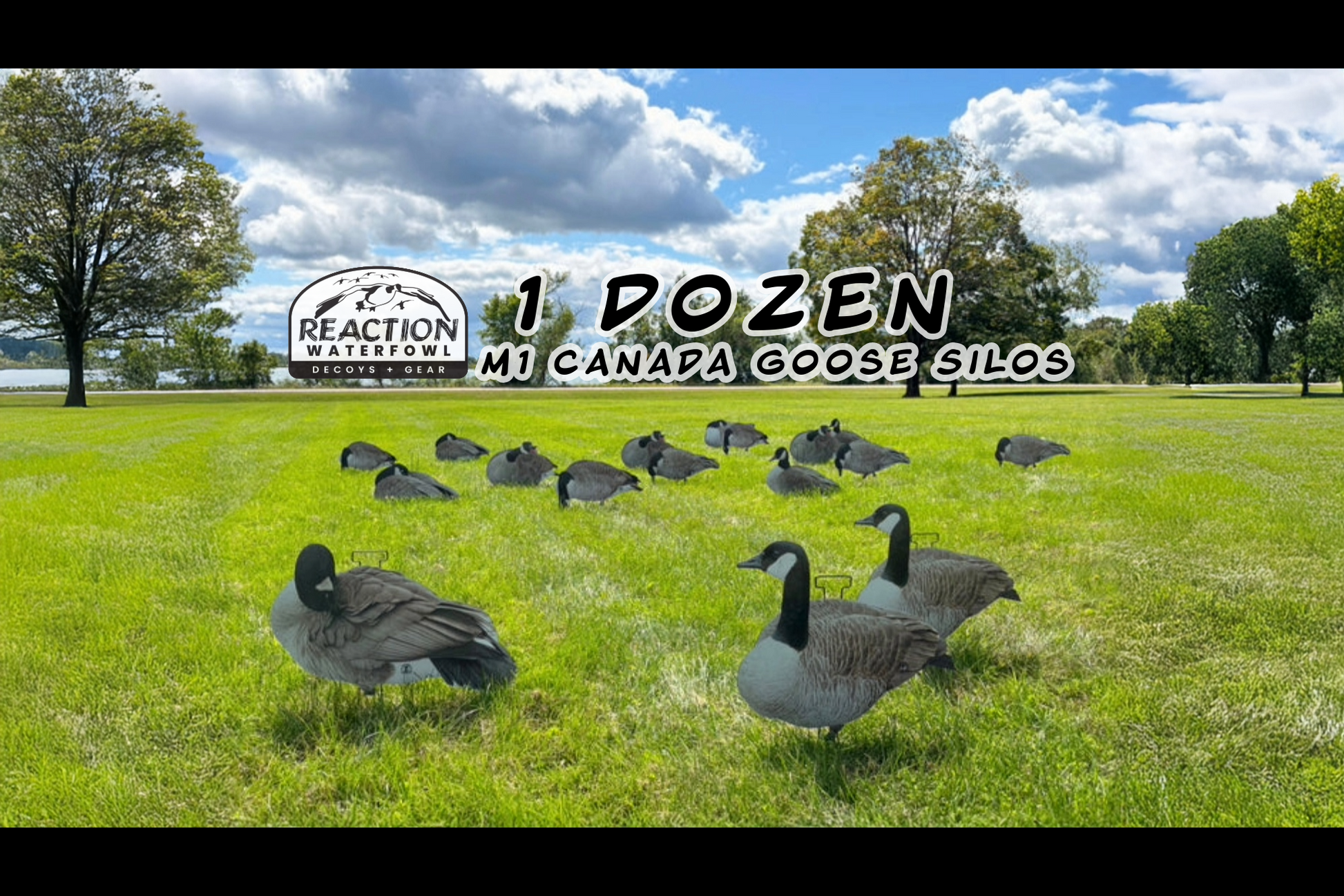 silo goose decoys divebomb