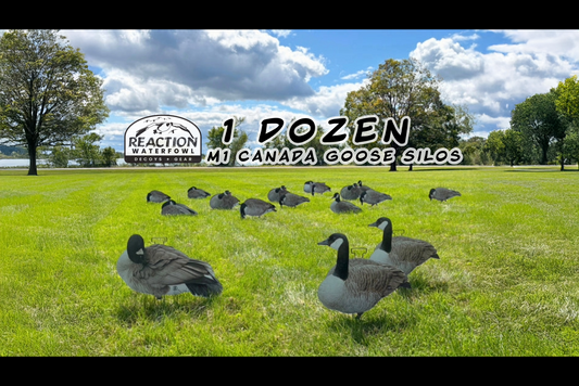 silo goose decoys divebomb